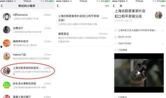 小程序独家最新爆料,小程序最新爆料，带你领略科技前沿风采